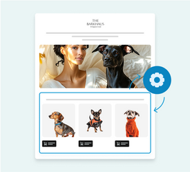 Automatic theme configuration feature